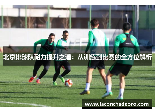 北京排球队耐力提升之道：从训练到比赛的全方位解析