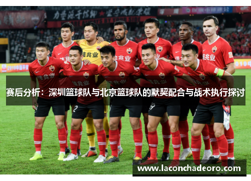 赛后分析：深圳篮球队与北京篮球队的默契配合与战术执行探讨