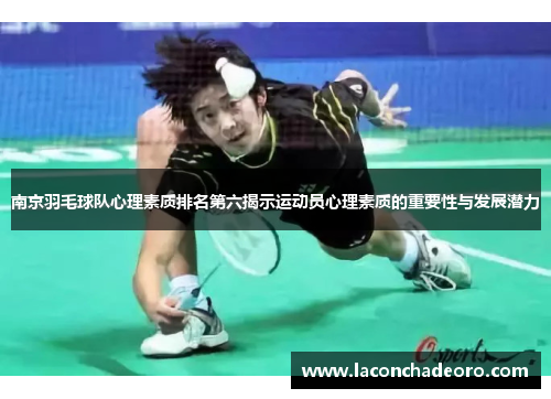 南京羽毛球队心理素质排名第六揭示运动员心理素质的重要性与发展潜力