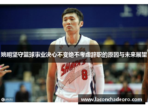 姚明坚守篮球事业决心不变绝不考虑辞职的原因与未来展望