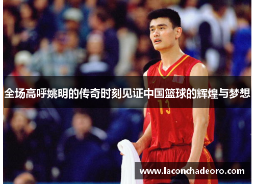 全场高呼姚明的传奇时刻见证中国篮球的辉煌与梦想
