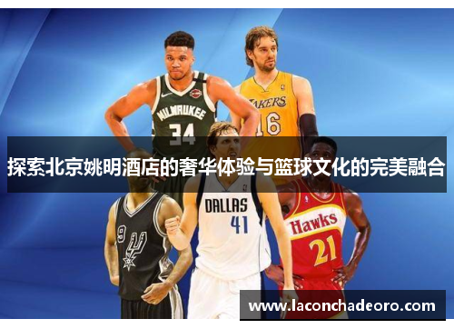 探索北京姚明酒店的奢华体验与篮球文化的完美融合