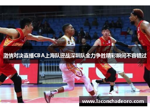 激情对决直播CBA上海队迎战深圳队全力争胜精彩瞬间不容错过